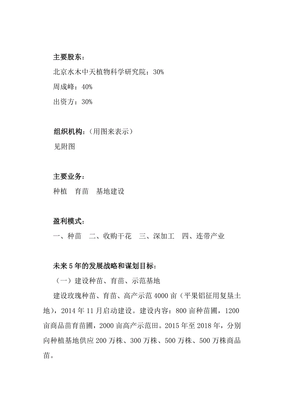 项目投资计划书_第4页