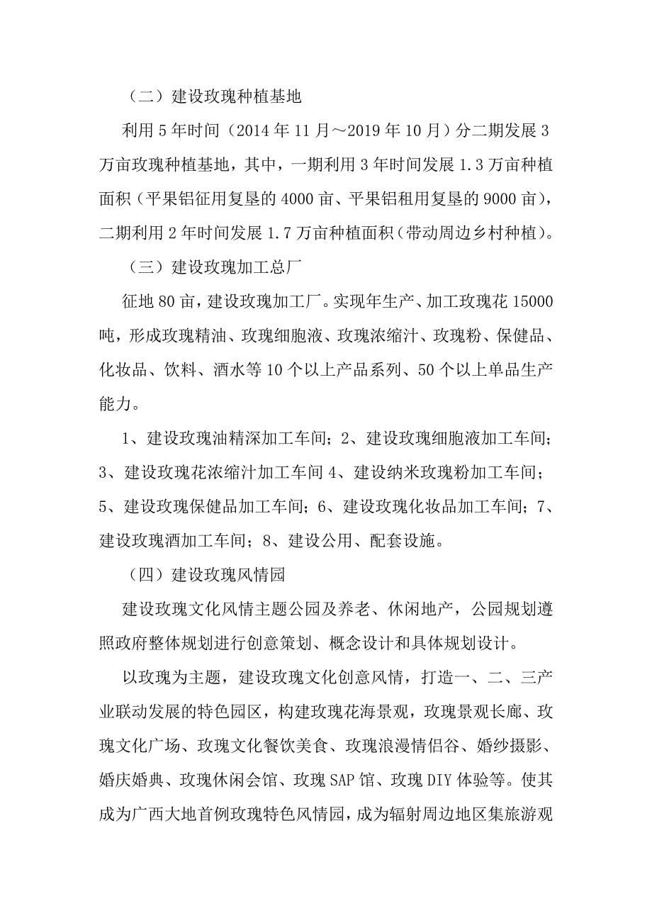 项目投资计划书_第5页