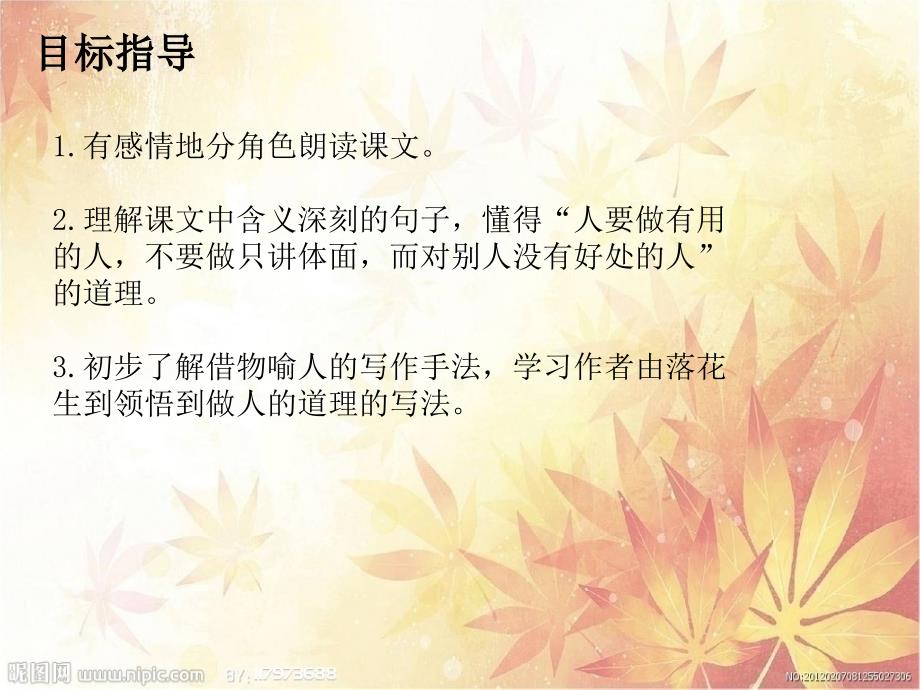 《落花生》课件_第2页