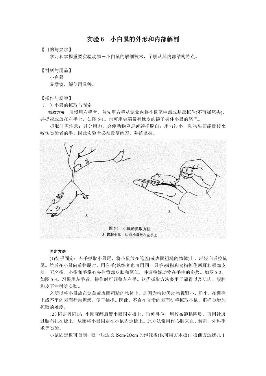 实验6小白鼠的外形和解剖.doc_第1页