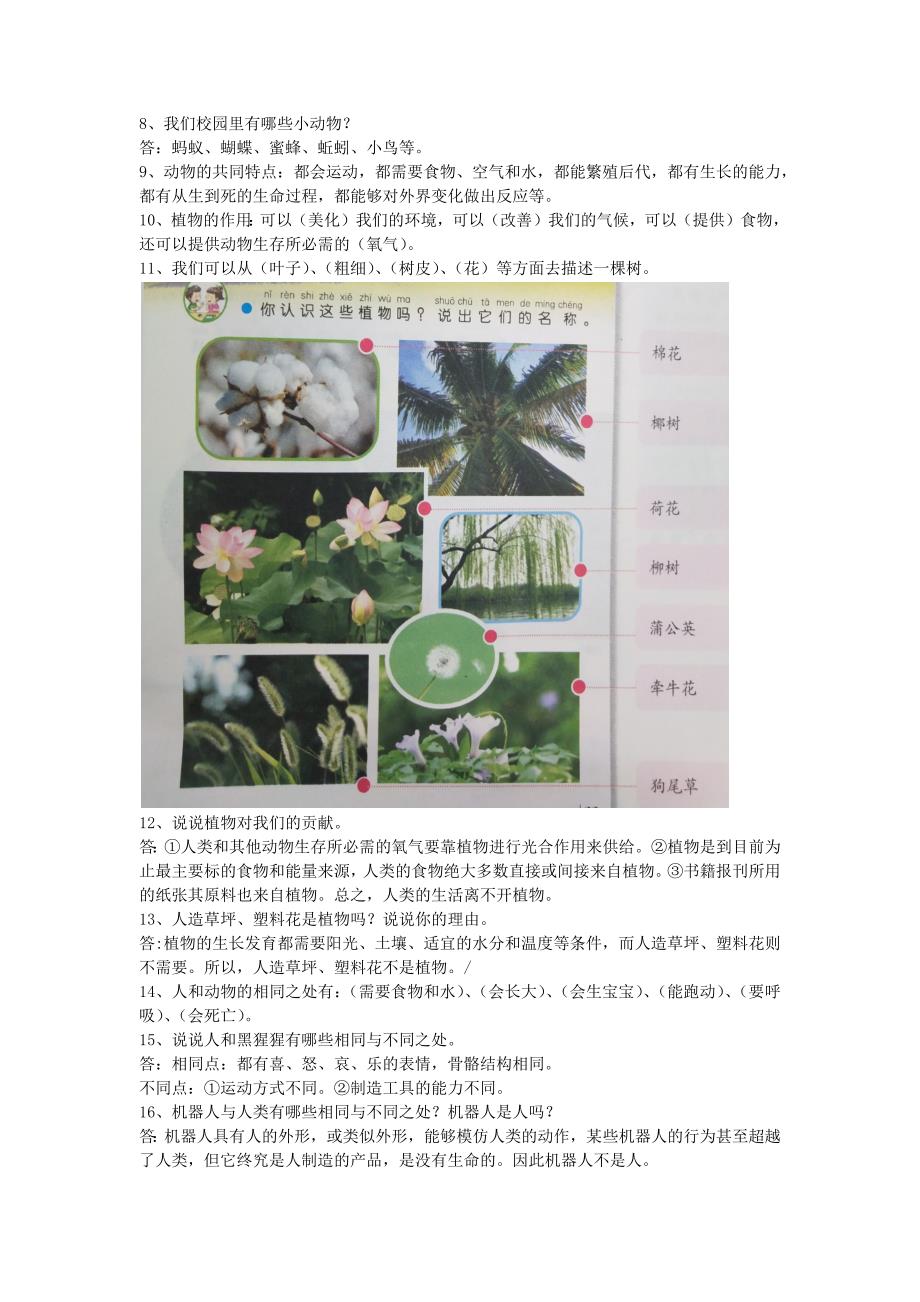 苏教版一年级科学下册.doc_第4页