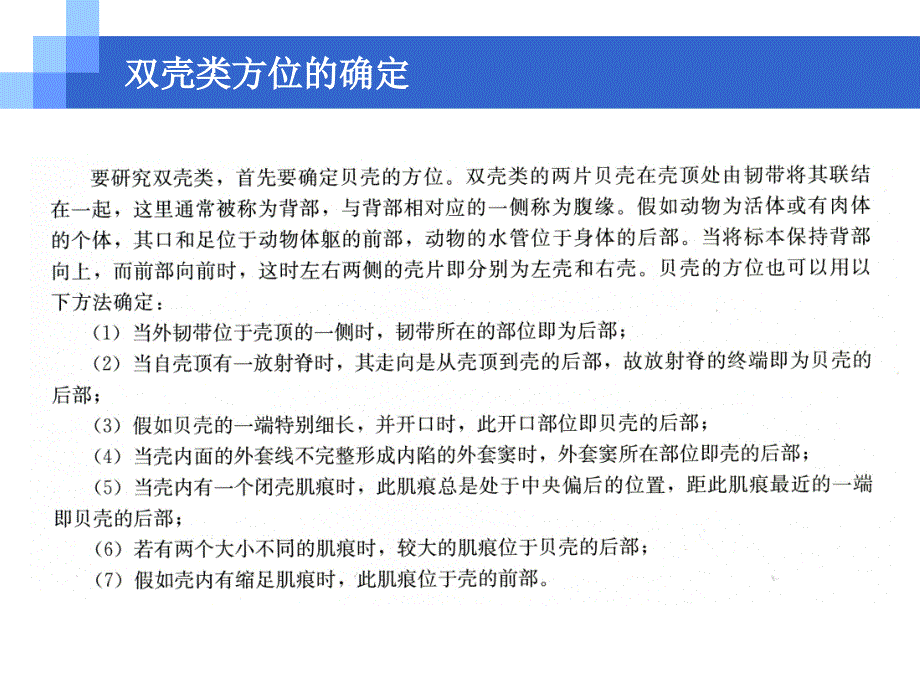 软体动物的分类-双壳类（教资课堂）_第2页