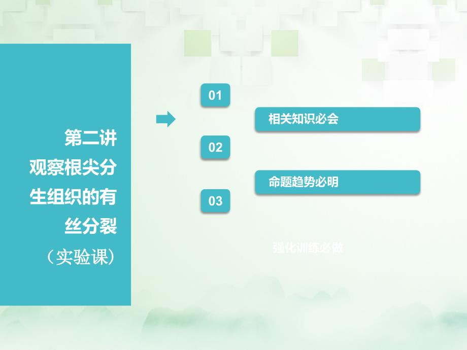 （江苏专）高考生物一轮复习 第一部分 分子与细胞 第四单元 细胞的生命历程 第二讲 观察根尖分生组织的有丝分裂(实验课)课件_第1页