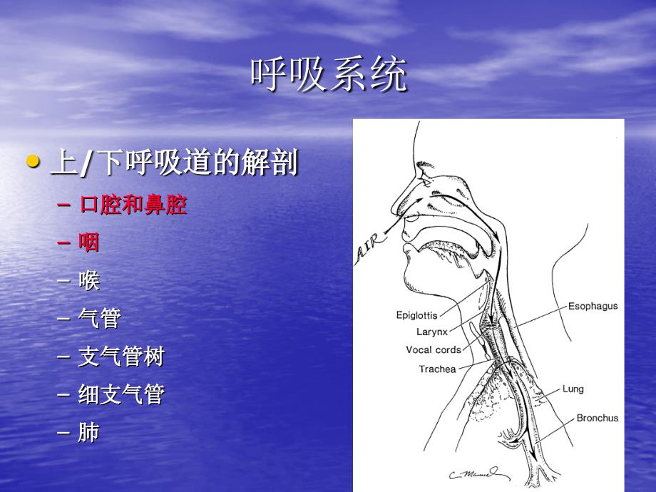 [临床医学]机械通气三甲急诊科_第4页