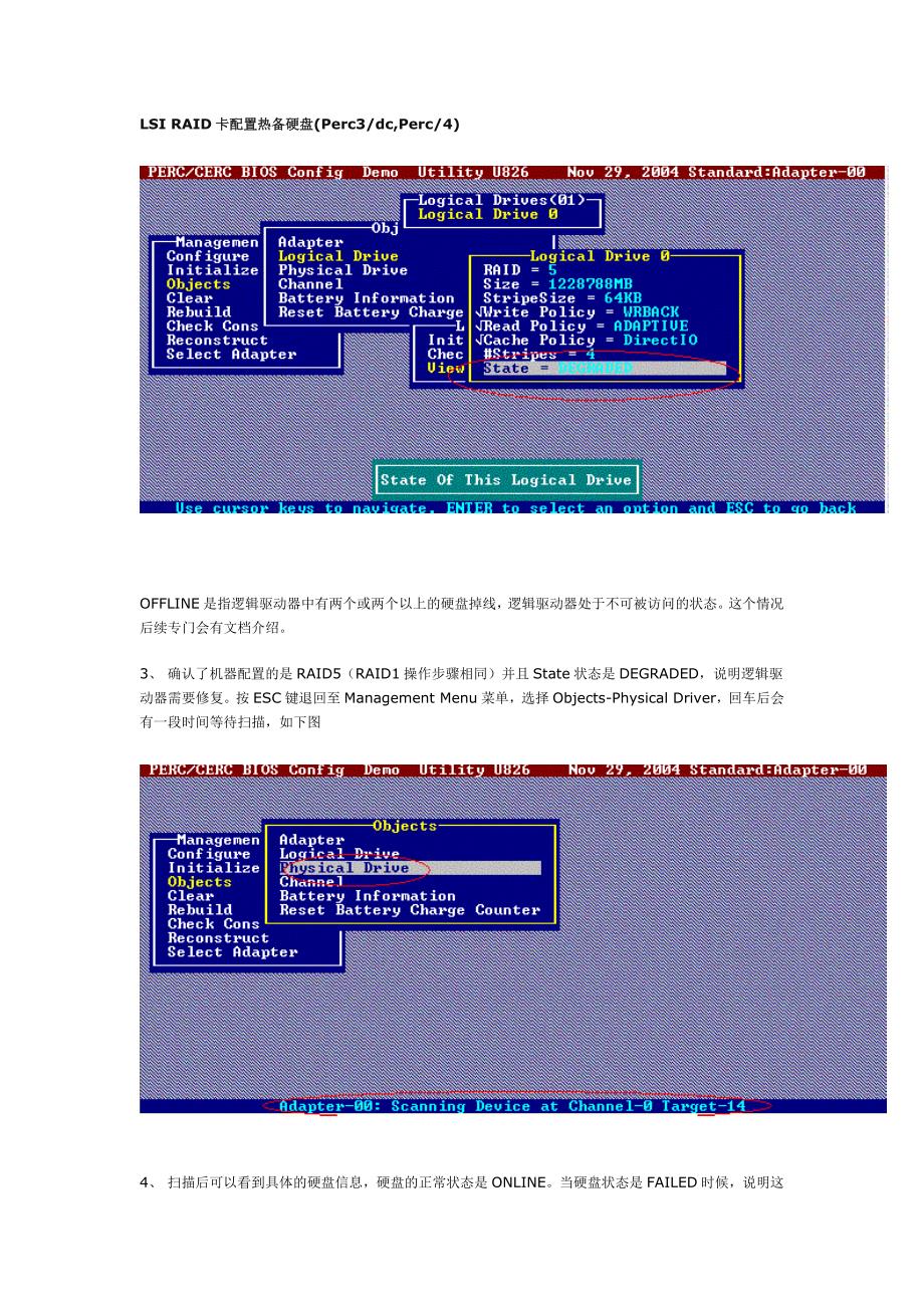 DELLRAID配置_第3页