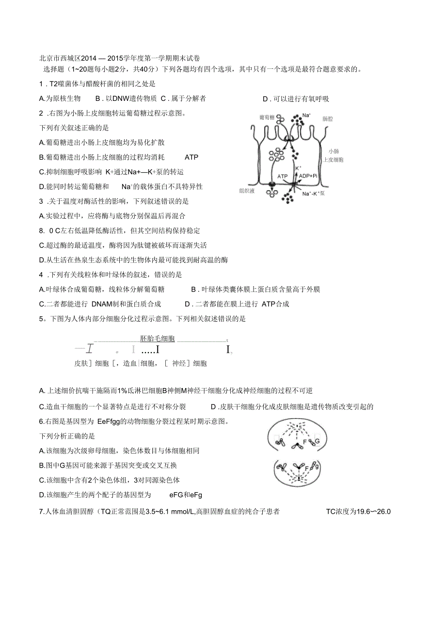 2015西城区高三期末考试生物试题及答案_第1页