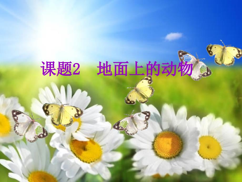 地面上的动物_第1页