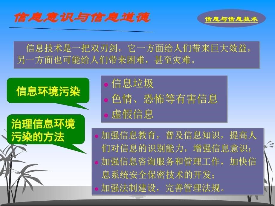 信息与信息技术_第5页