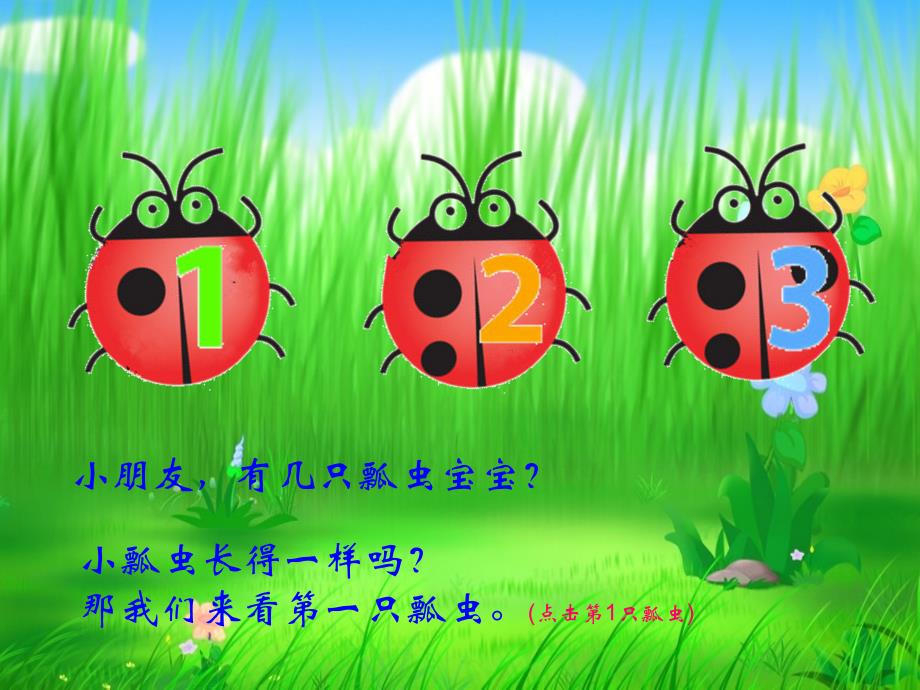 小班数学：小瓢虫.ppt_第3页