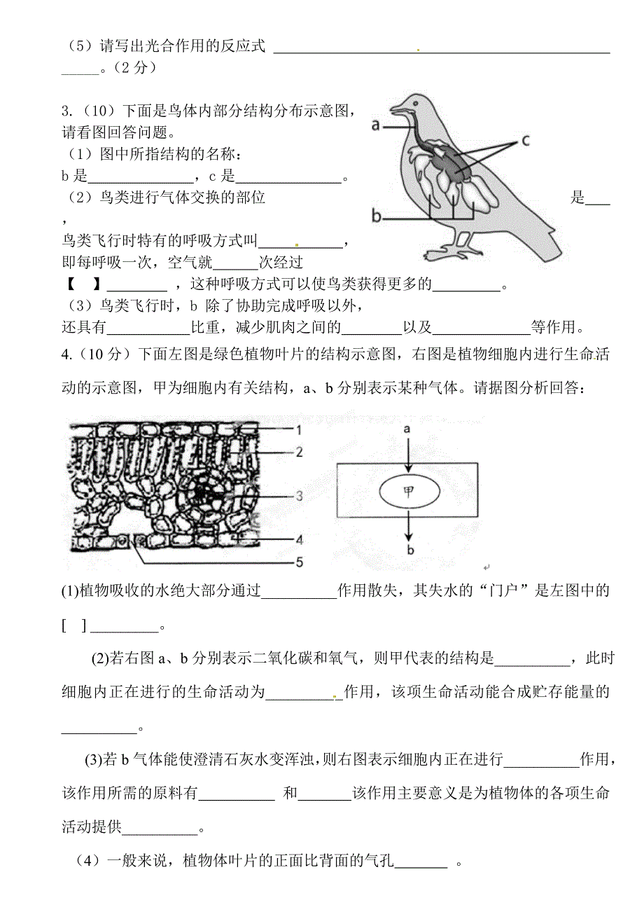 七年级上学期生物期末竞赛测试试卷及答案_第4页