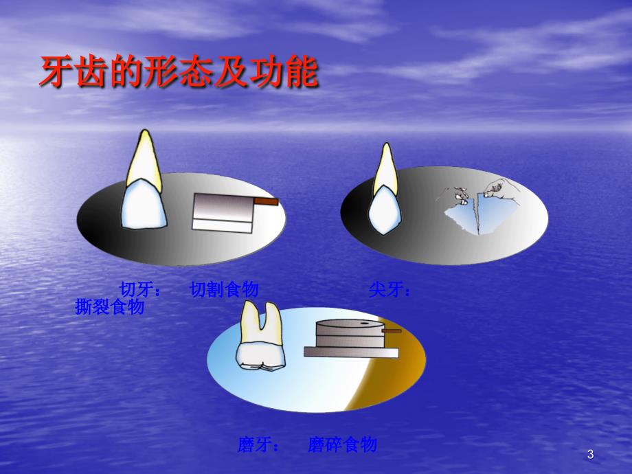 8-10岁儿童常见口腔疾病及预防 ppt课件_第3页