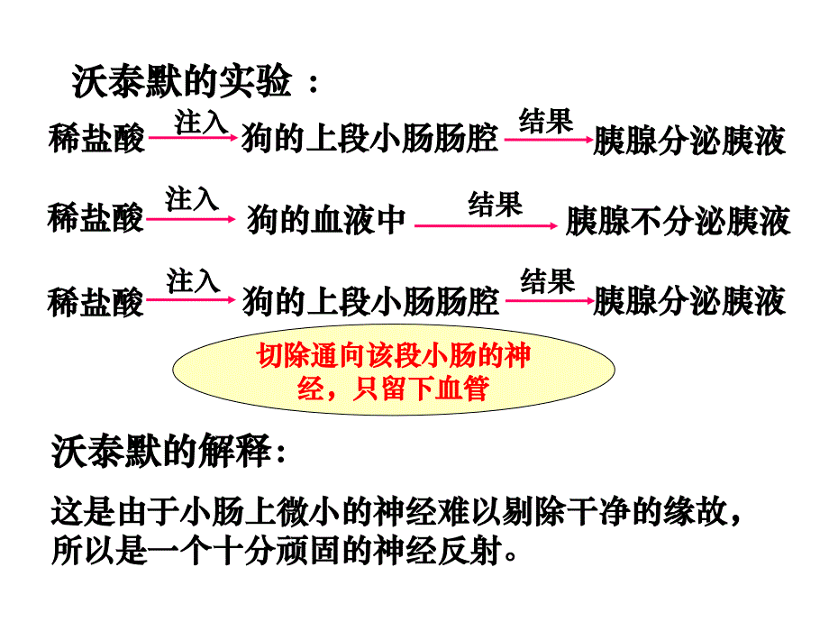 人教版教学课件必修三第2章第2节通过激素的调节课件_第3页