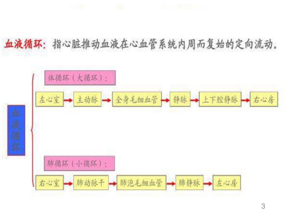 颈部血管解剖PowerPoint演示文稿_第3页