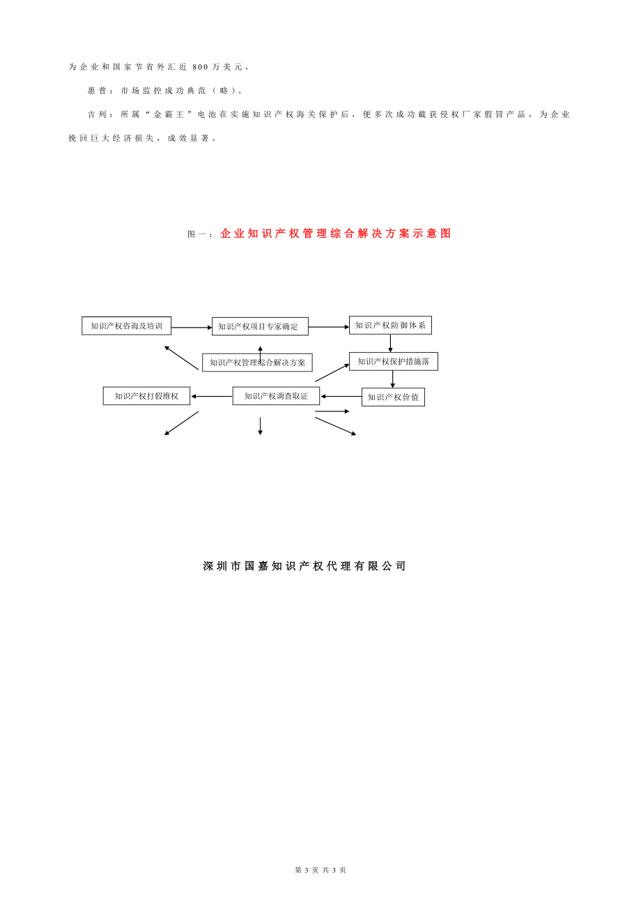 企业知识产权综合管理解决方案(纲要)_第3页