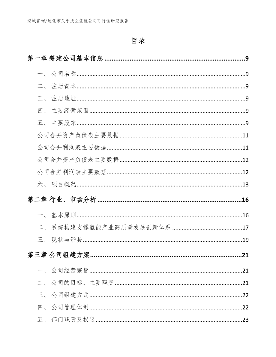 通化市关于成立氢能公司可行性研究报告（范文参考）_第2页