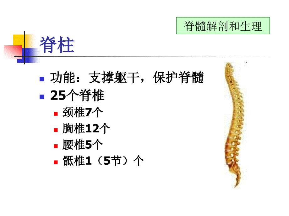 脊髓损伤基本概念_第2页