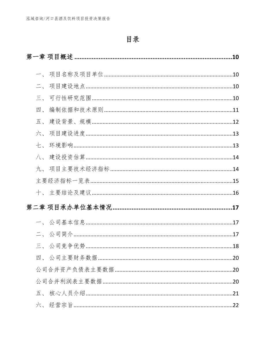 河口县酒及饮料项目投资决策报告_第1页