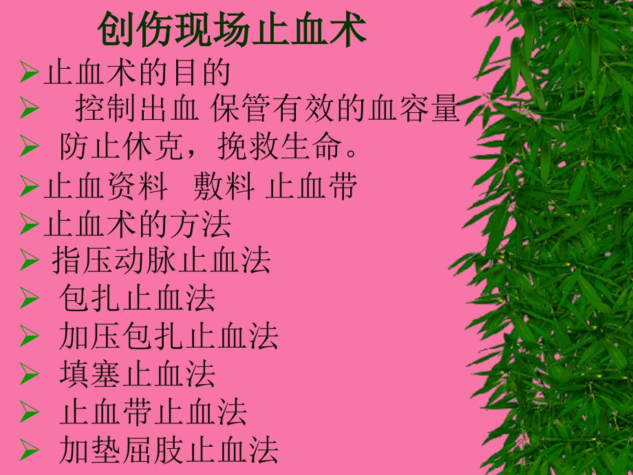 创伤现场救护技术ppt课件_第3页