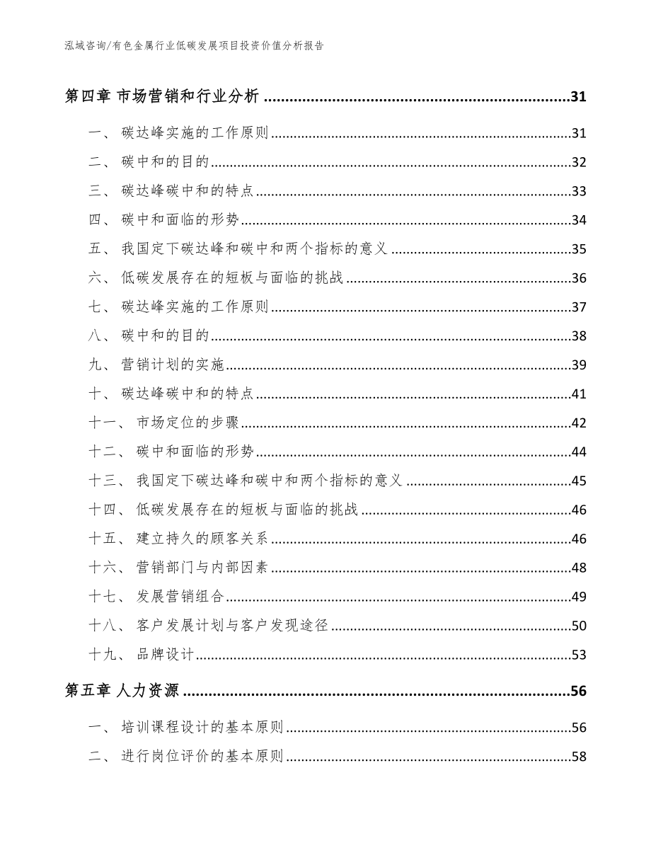 有色金属行业低碳发展项目投资价值分析报告模板参考_第3页