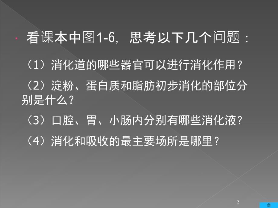 食物在肠胃中的消化ppt课件_第3页