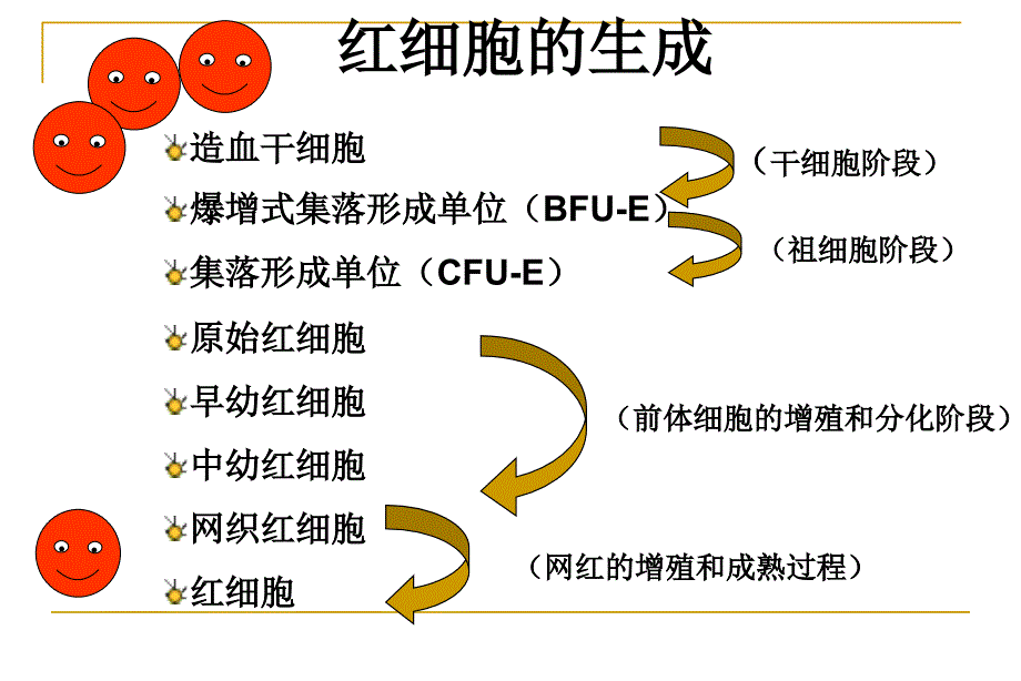 促红素的规范使用.ppt_第4页