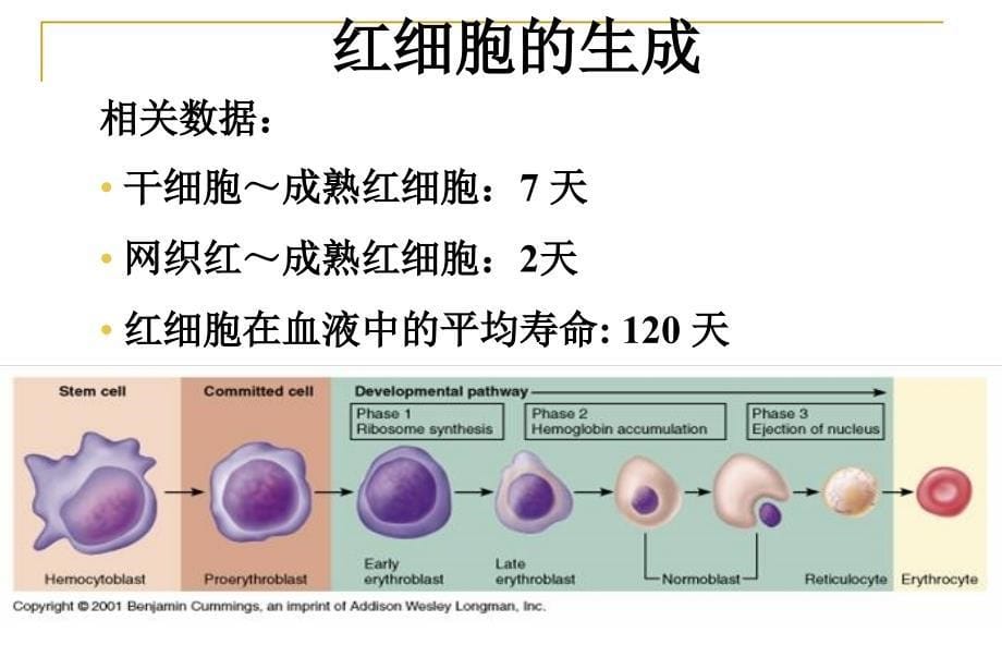 促红素的规范使用.ppt_第5页