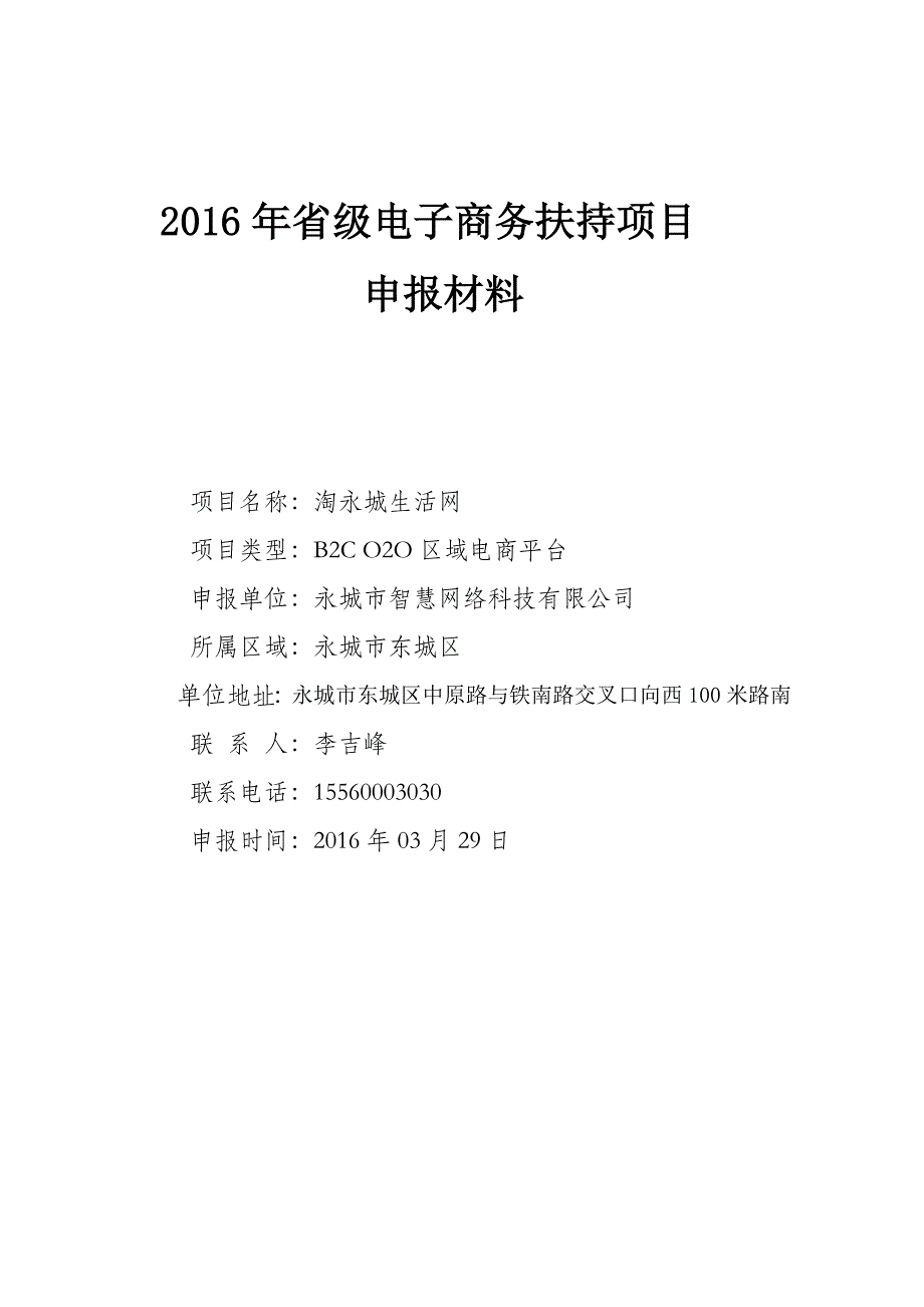 2016年省级电子商务扶持项目申报材料.docx_第1页