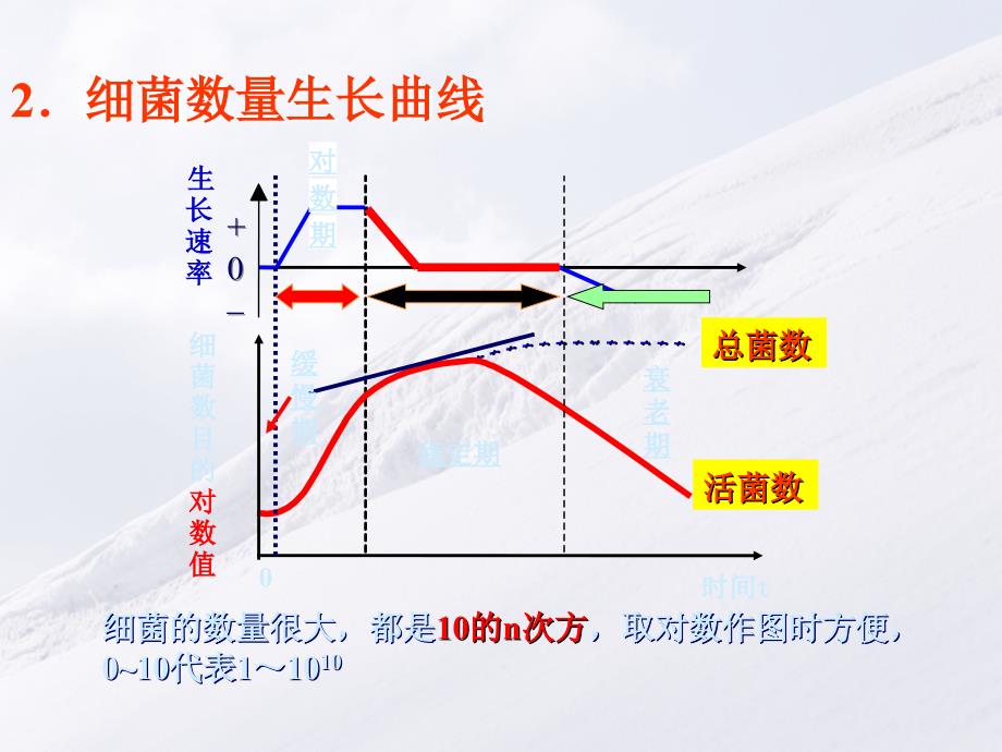 6第六章微生物的生长与控制2生长规律TO学..._第2页