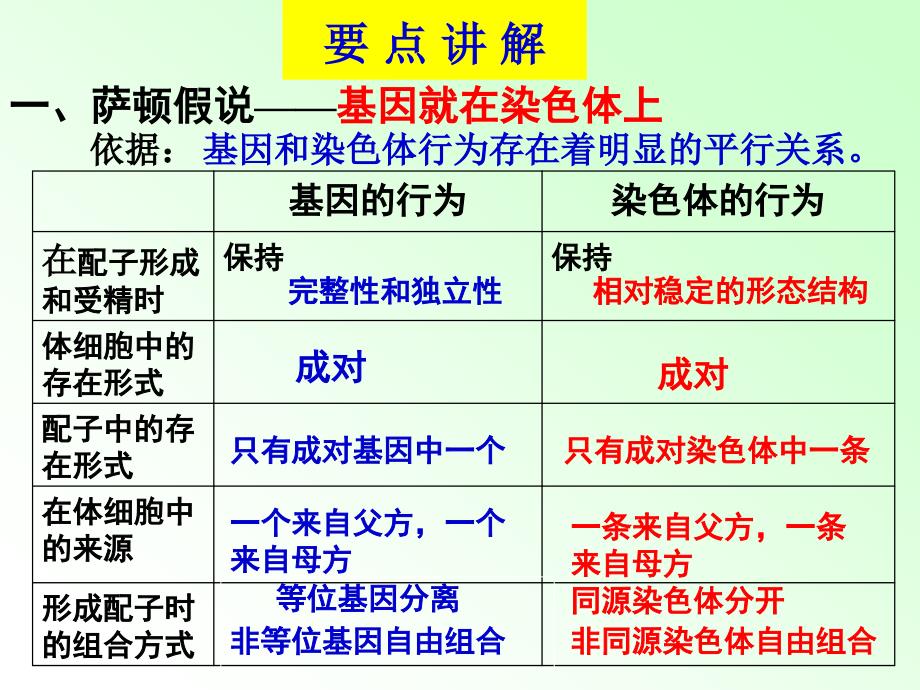 《基因在染色体上》复习公开课课件_第3页