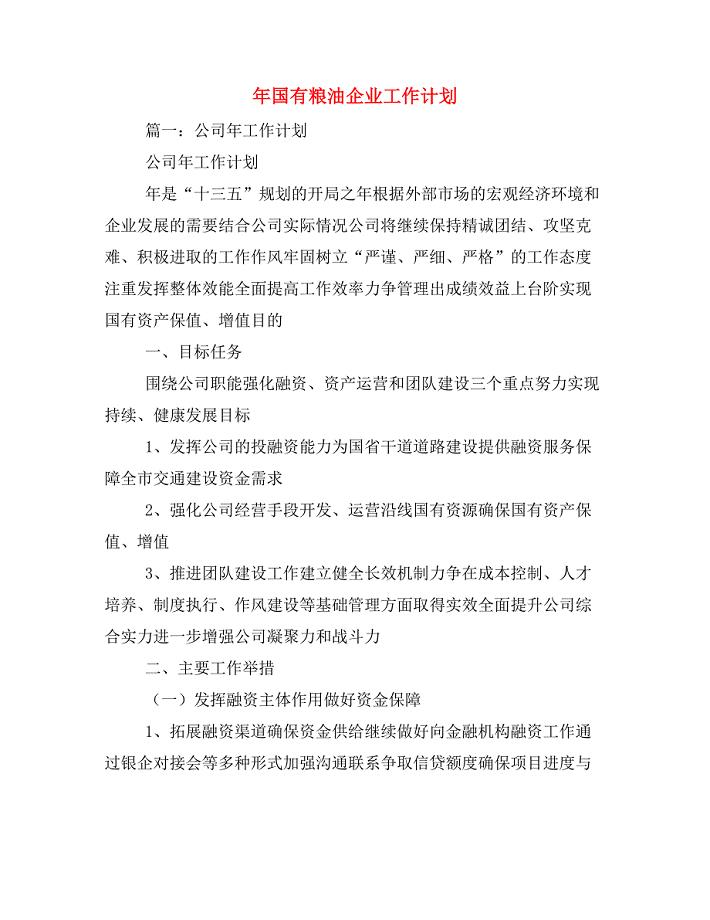 2020年国有粮油企业工作计划.doc