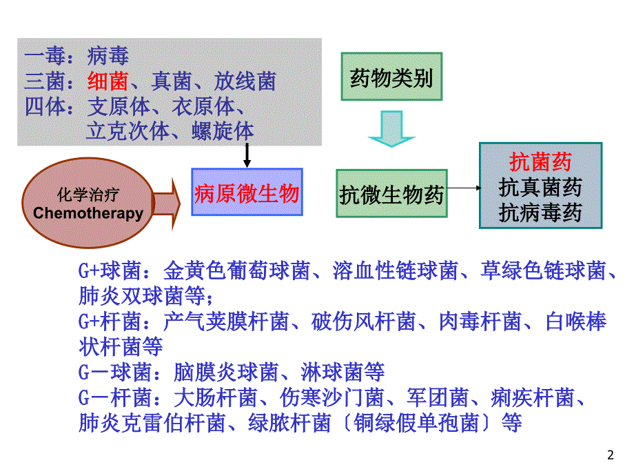 抗菌药物概论抗菌药物的基本概念抗菌药物的作用机制细菌的耐药性抗菌药物应用的基本原则_第2页