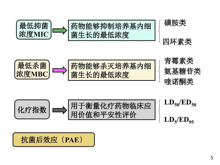 抗菌药物概论抗菌药物的基本概念抗菌药物的作用机制细菌的耐药性抗菌药物应用的基本原则_第5页