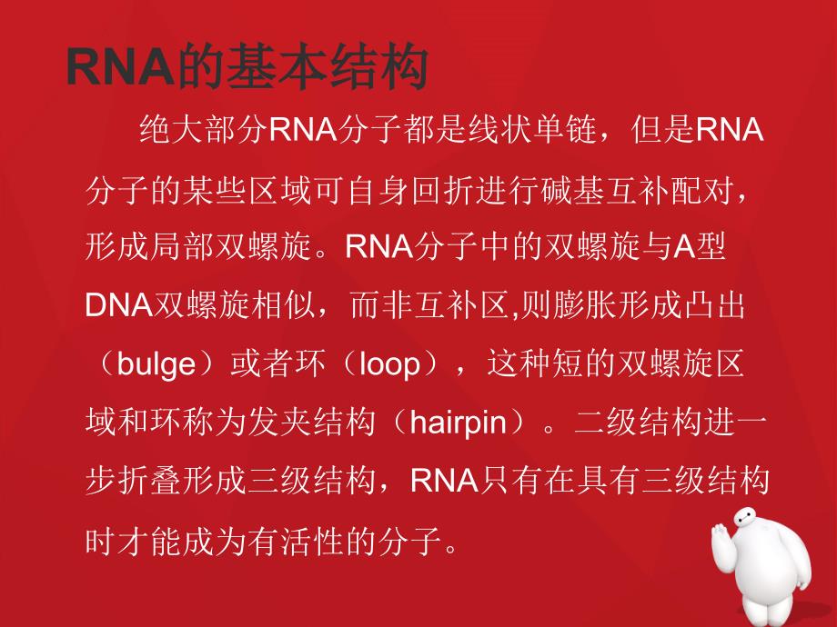 RNA结构的特点_第2页