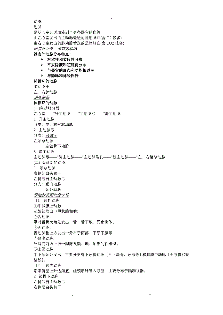 人体动脉解剖_第1页