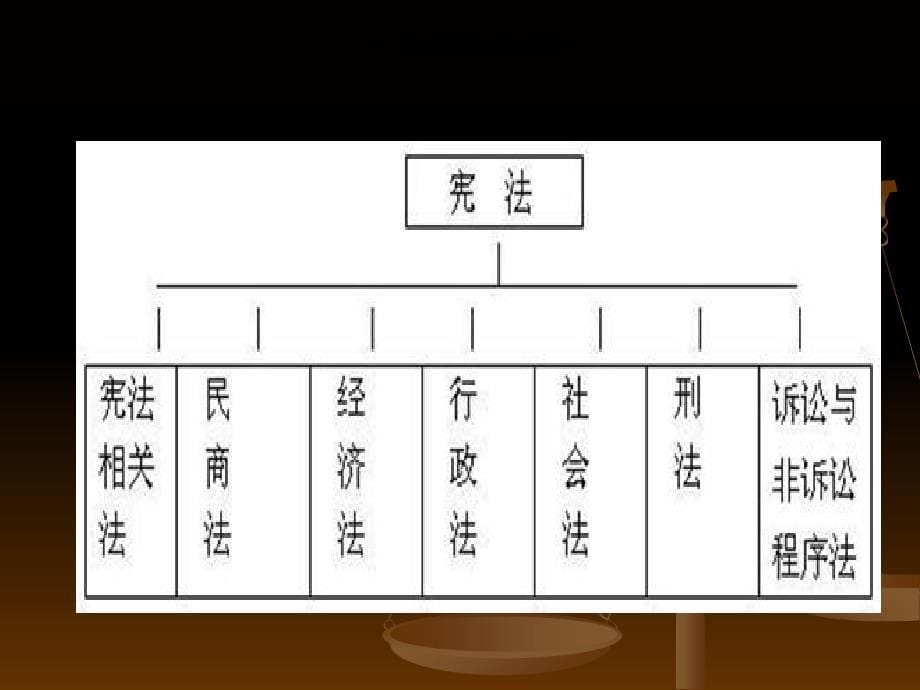 中小学生宪法知识讲座1_第5页