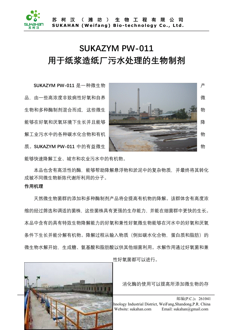 造纸污水处理建议书(最新).doc_第4页