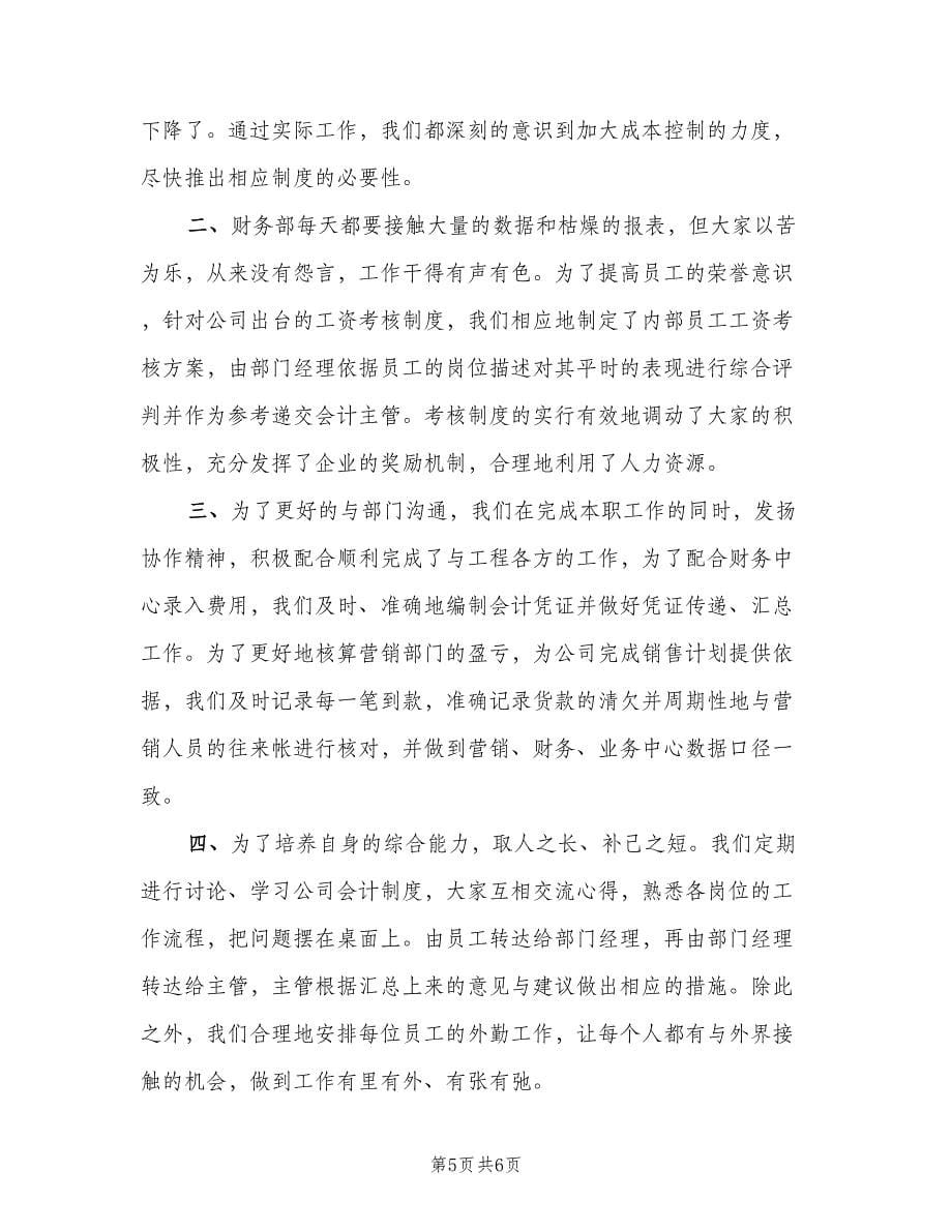 公司会计统计员个人年终工作总结及计划范本（2篇）.doc_第5页