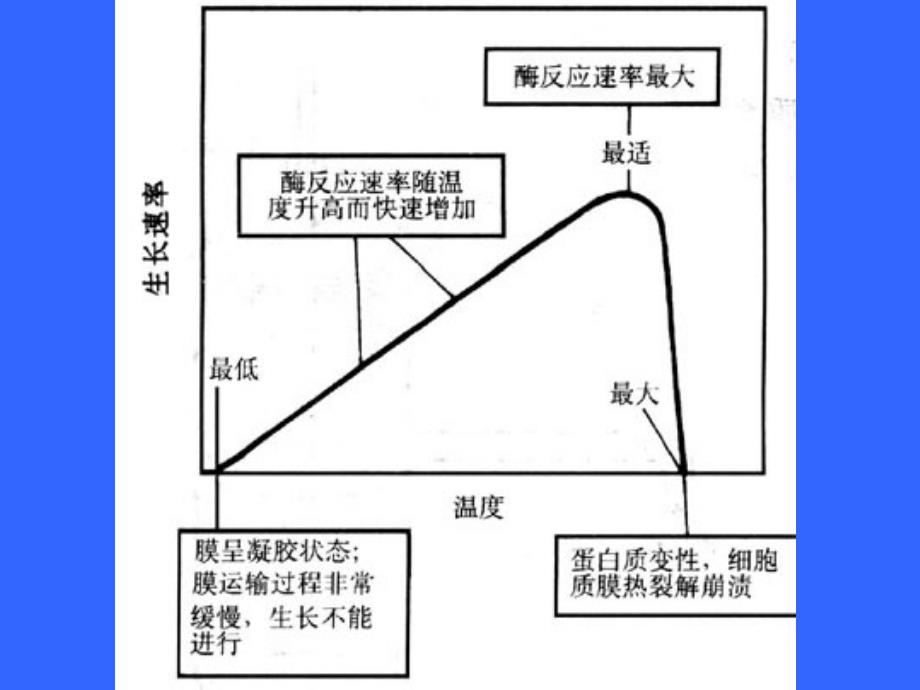 医学课件第五章环境因子对微生物生长和代谢的影响课件_第4页