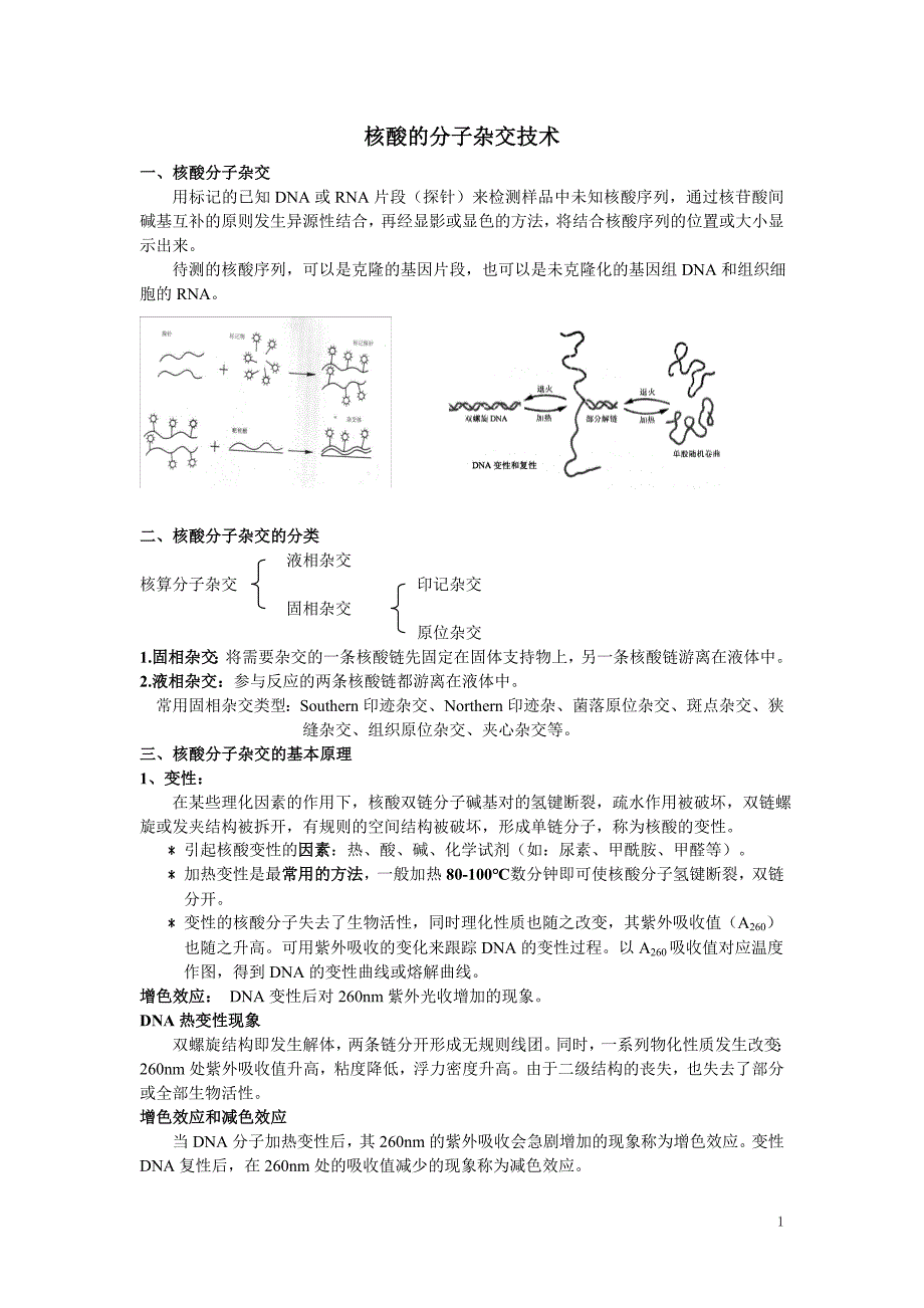 核酸分子杂交及PCR技术.doc_第1页