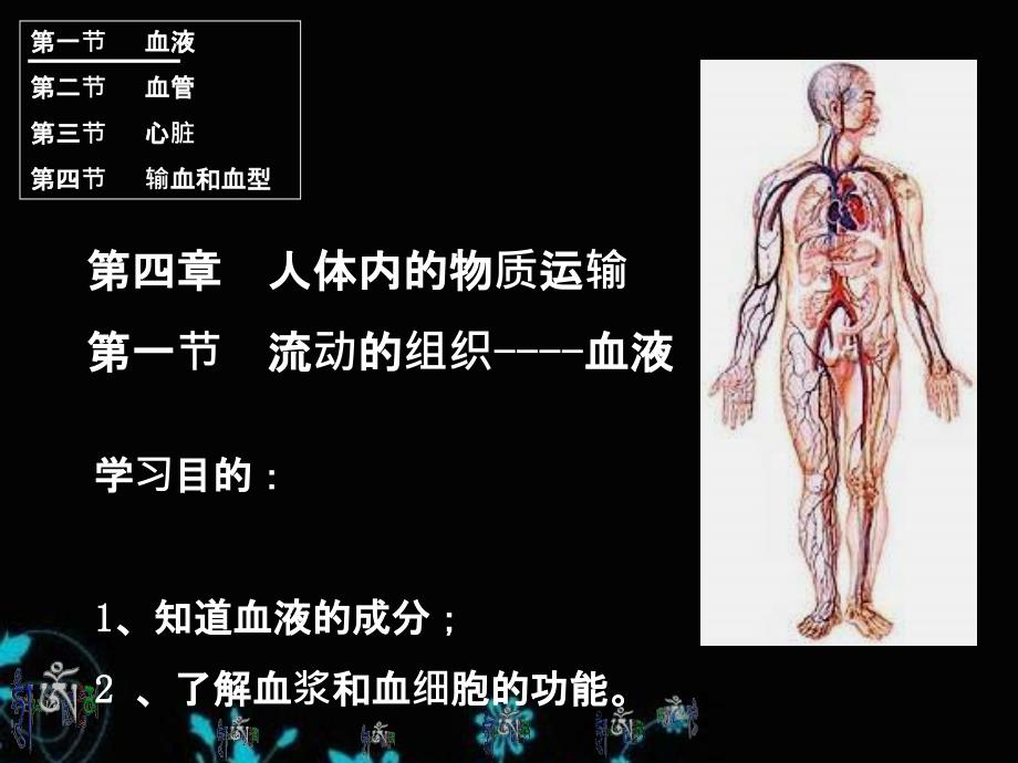 流动的组织血液ppt课件_第1页