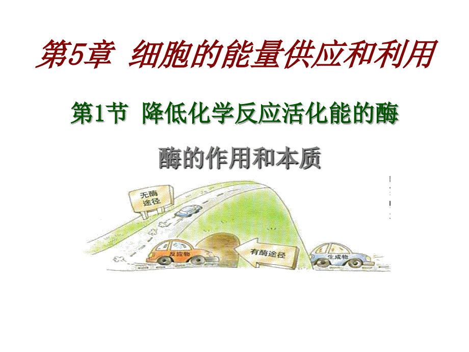 第五章__降低化学反应活化能_酶_第1页