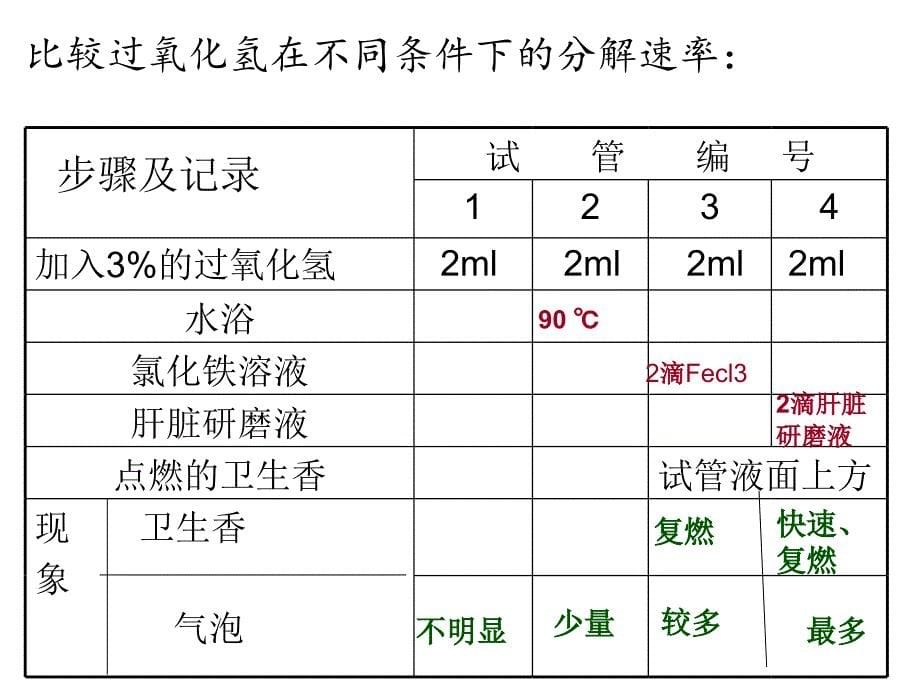 第五章__降低化学反应活化能_酶_第5页