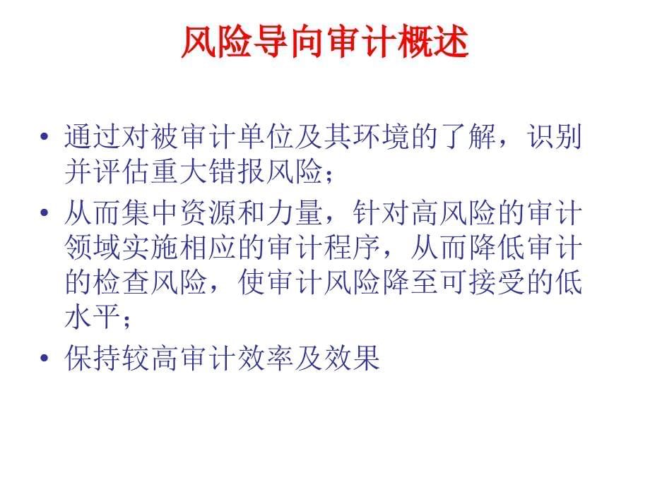 风险导向审计实务与桉例研究_第5页