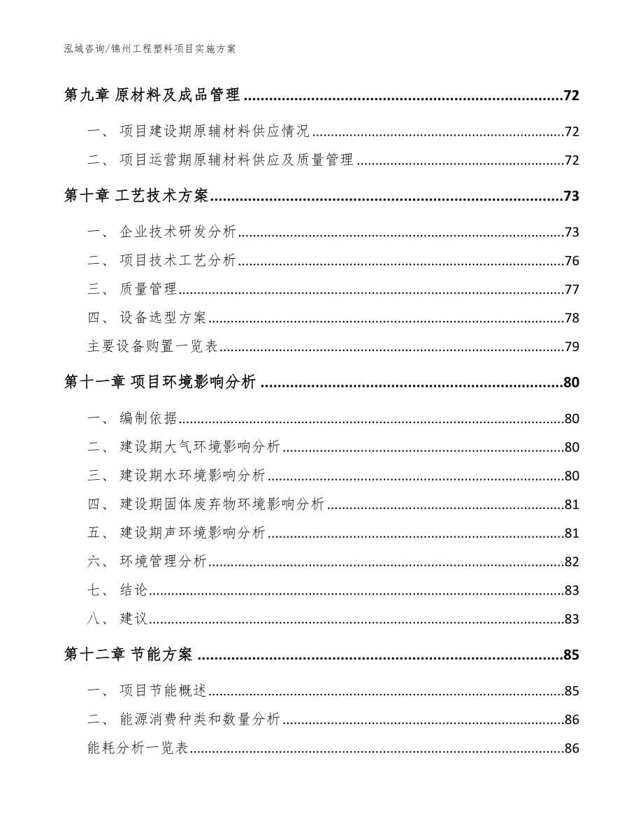 锦州工程塑料项目实施方案（模板）_第5页