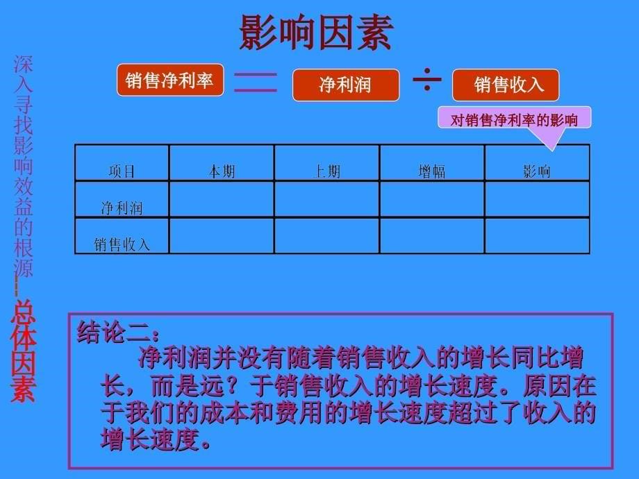 财务分析模板_第5页