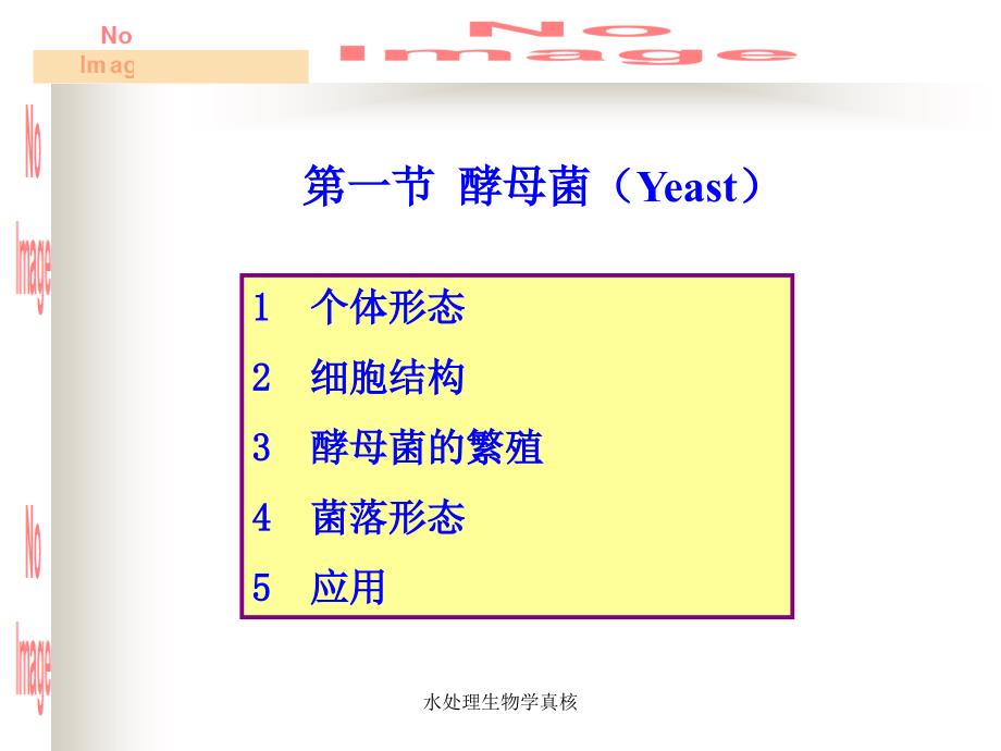 水处理生物学真核课件_第4页