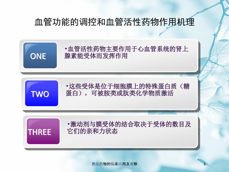 升压药物的临床应用及观察培训课件_第3页