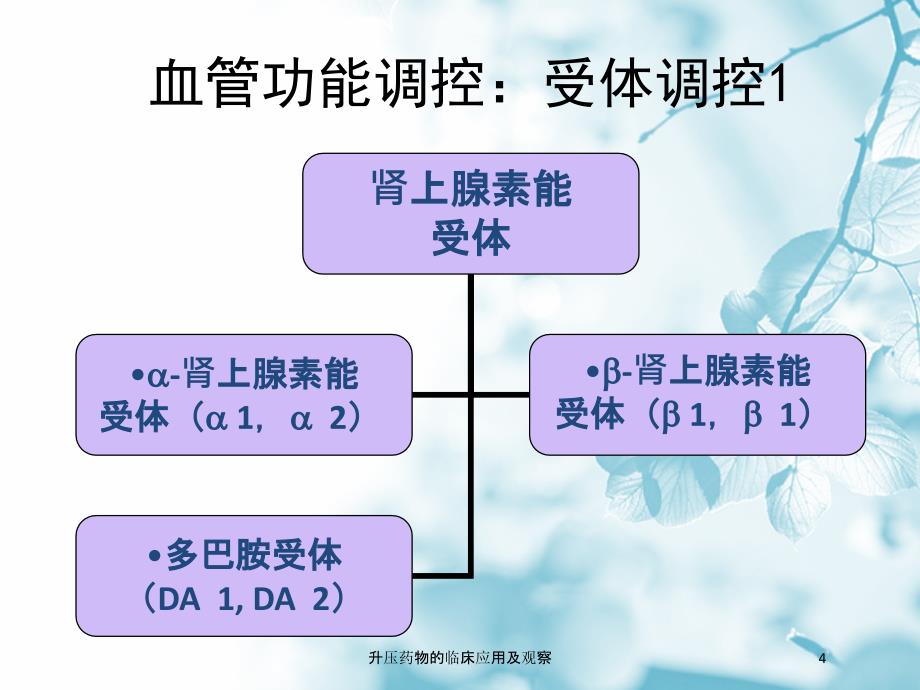 升压药物的临床应用及观察培训课件_第4页