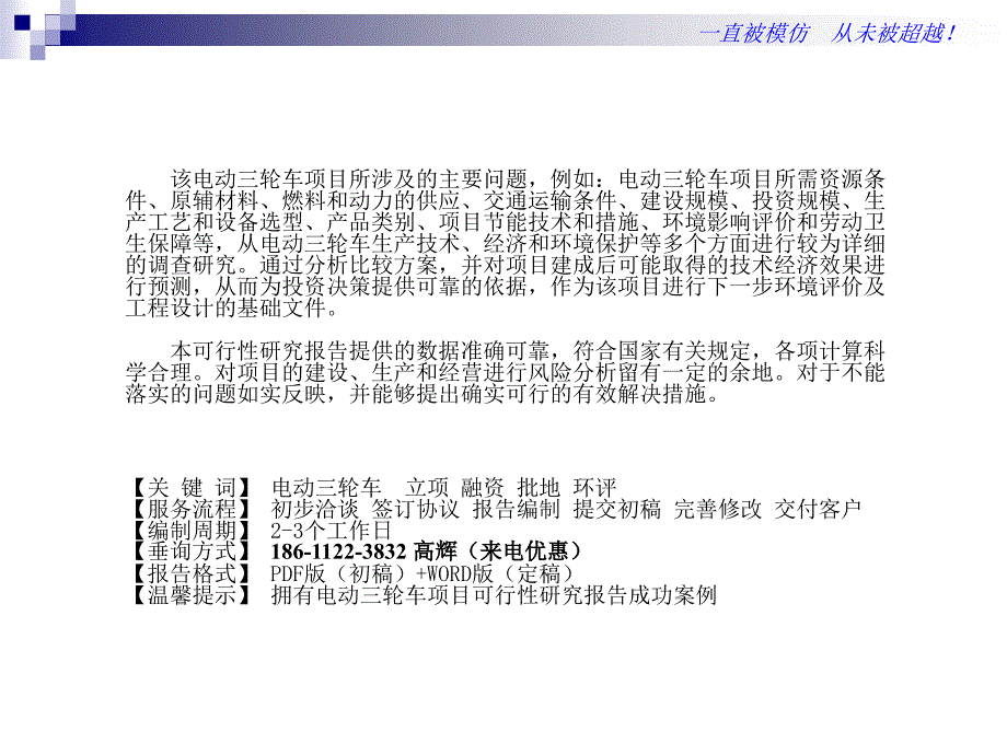 电动三轮车项目可行性研究报告_第2页