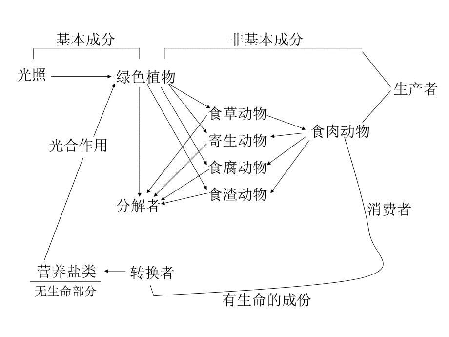 生态工程与污水处理系统_第5页